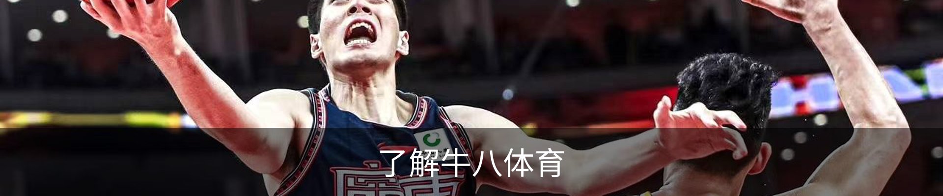 了解牛八体育